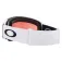 Oakley Line Miner XL Prizm Snow ski goggles