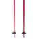 Atomic AMT poles