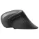 Trust Mouse ergonomico wireless Verro