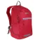 Regatta Jaxon III 10L backpack