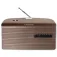 Grundig Music 60 Bærbar radio