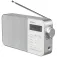Sony ICF-M780SL Clock Radio