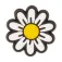 Jibbitz Daisy charm