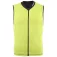 Dainese Snow Chaleco de protección Auxagon