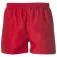 Force xv Calções Force