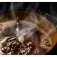 Philips HD7462/20 drip coffee maker