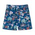 Hackett Hawaiian Swimming Shorts