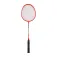 Softee Groupstar 5097/5099 badmintonracket