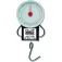 Zebco Analog scale