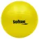 Softee 注水药球 4kg