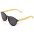 Hydroponic Venice Polarized Sunglasses
