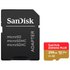 Sandisk Micro SDXC 256GB Extreme Plus Карта Памяти