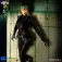 Dc comics Catwoman Figure