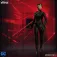 Dc comics Catwoman Figure