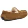 Ugg Ascot tøfler