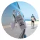 Surflogic 密钥安全锁标准
