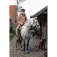 Baleno Livingstone jacket