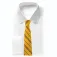 Cinereplicas Hufflepuff vävd logotyp slips