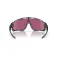 Oakley Jawbreaker Prizm Road sunglasses