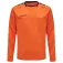 Hummel Authentic Poly 긴팔 티셔츠