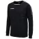 Hummel Dessuadora Authentic Training
