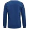 Hummel Authentic Training 运动衫