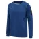Hummel Authentic Training 运动衫