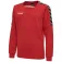 Hummel Authentic Training collegegenser