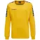 Hummel Authentic Training 스웨트셔츠