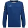 Hummel Authentic Training collegegenser