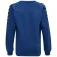Hummel Authentic Training collegegenser