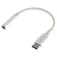 Dcu tecnologic Ein Adapter von Typ C auf Audio