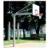 Powershot Basketboll Korg
