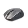 NGS Frizz Optic wireless mouse