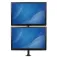 Startech Supporto verticale Vesa 2