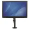 Startech VESA-veggfeste for skrivebord
