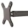 Startech Double Twist Wall Bracket