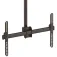 Startech Support VESA pour TV au plafond