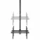 Startech Ceiling TV Back-To-Back 32-75´´ TV-teline
