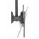 Startech Ceiling TV Back-To-Back 32-75´´ TV-teline