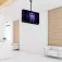 Startech Ceiling TV Back-To-Back 32-75´´ TV-teline