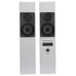 Iq board TBD-A40W Edis 40+40 Floorstanding Speaker