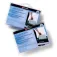 Rexel Lubricant Sheets Shredders 12 units