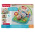Fisher price 3-in-1 Musical Activity Gym