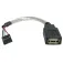 Startech USB A auf USB A 4-Pin-Header kabel 15 cm