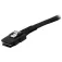 Startech Cable intern de PC Mini-SAS Intern 1 m