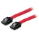 Startech Cable intern de PC Sata 30 cm