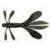 Berkley Vinilo Powerbait Mantis Bug 100 mm
