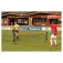 Carrington Mini Tennisnet
