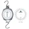 Amiaud Dial 模拟刻度